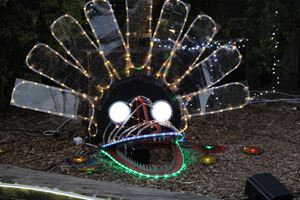 2018 Illumination 55