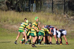 MCS Rugby 18