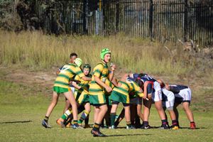MCS Rugby 18