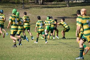 MCS Rugby 21