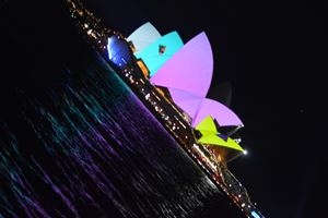 2018 Vivid 24