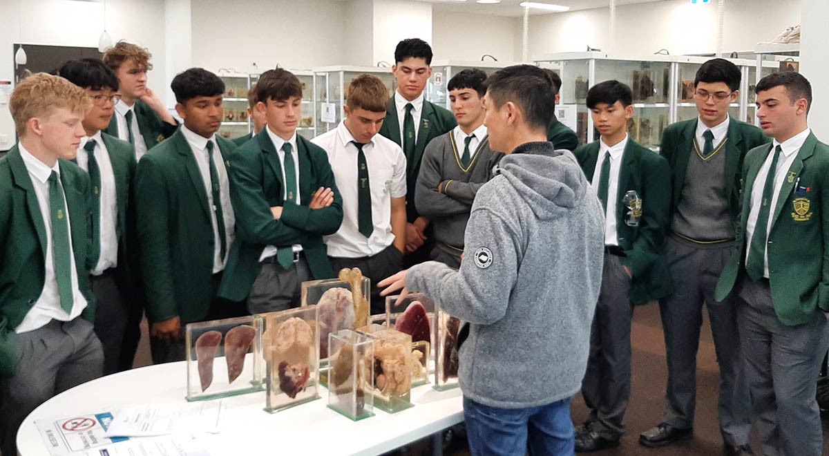 Parramatta Marist Westmead students at the School of Medical Sciences, University of Sydney