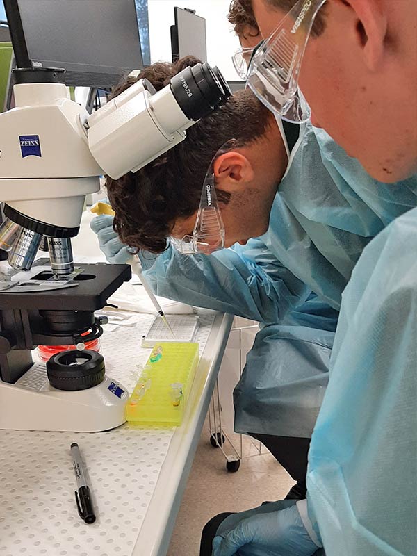 Parramatta Marist Westmead students in protective gear looking through a microscope at the School of Medical Sciences, University of Sydney